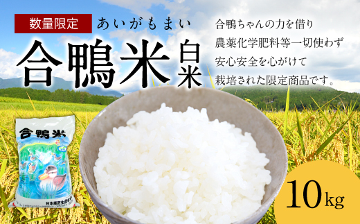 〈令和7年産〉合鴨米 白米 10kg【2025年10月上旬～2026年10月上旬発送予定】