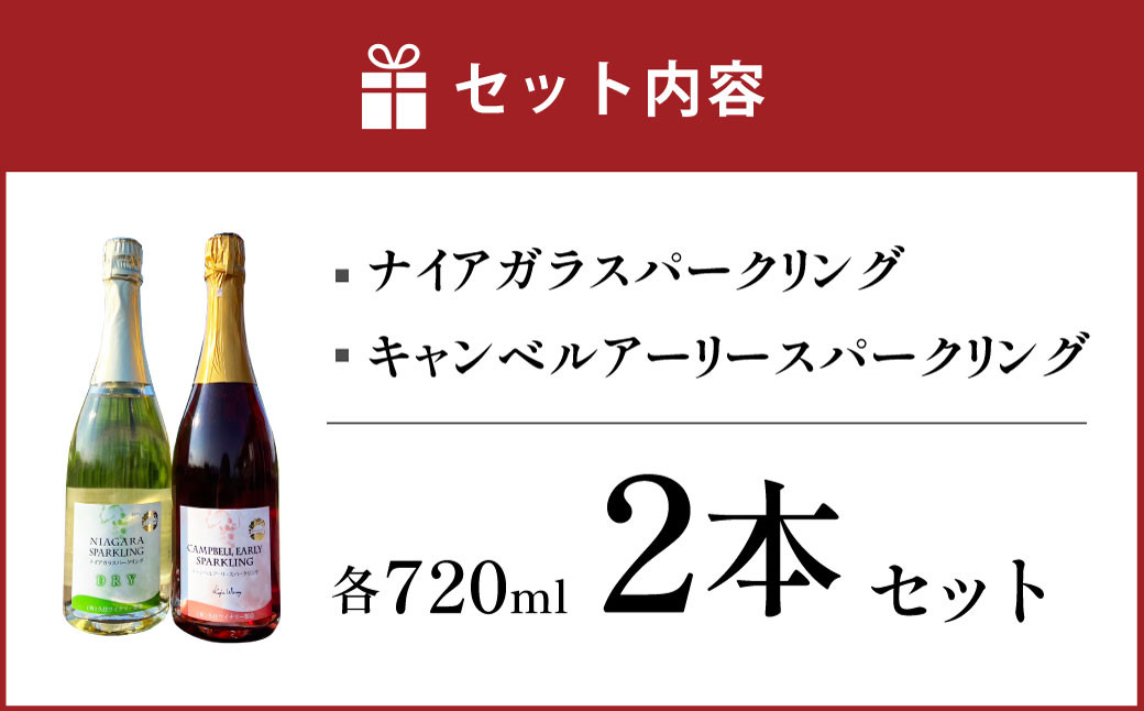 久住ワイナリーのスパークリングワイン 2本セット 720ml×2本 ワイン お酒 アルコール 赤ワイン 白ワイン