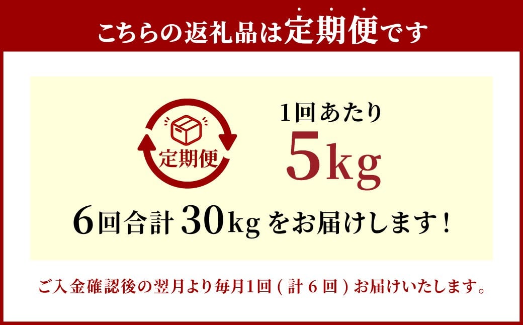 ã6ã¶æå®æäŸ¿ã 倧åçç£ ã³ã·ãã«ãª 5kgÃ6å èš30kg