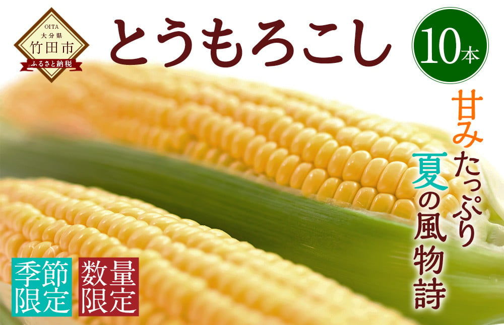 【2024年7月上旬発送開始】竹田市産  とうもろこし  10本 スイートコーン 野菜