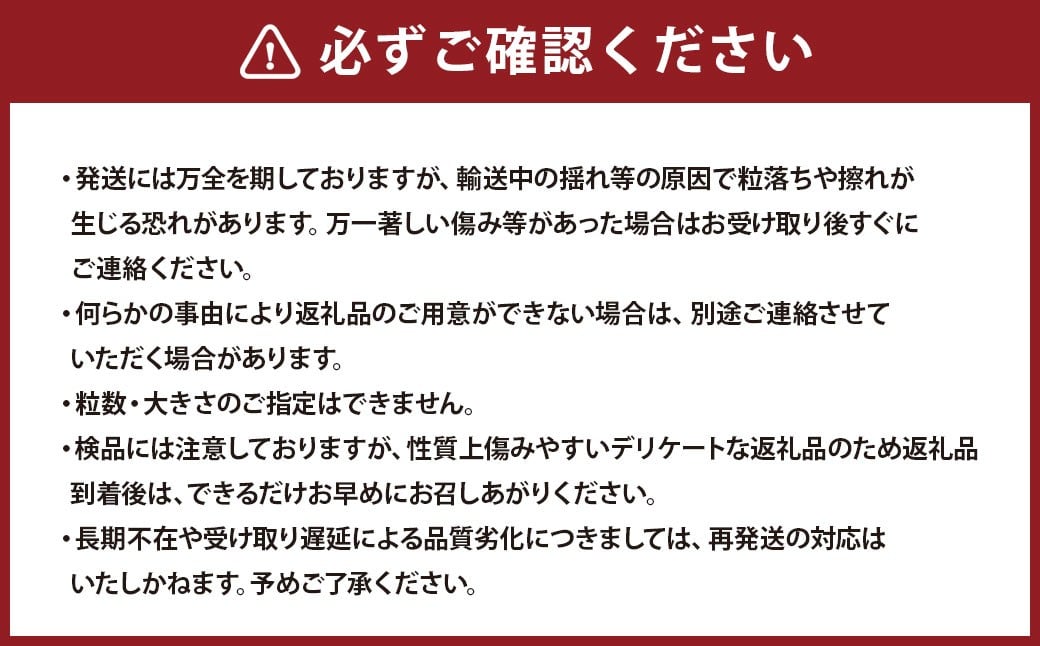 九州アルプスで育ち竹田市名水で実を付けた シャインマスカット 2房  （ 約300 ～ 約450g × 2房 ）【2026年9月上旬～10月上旬まで順次発送予定】