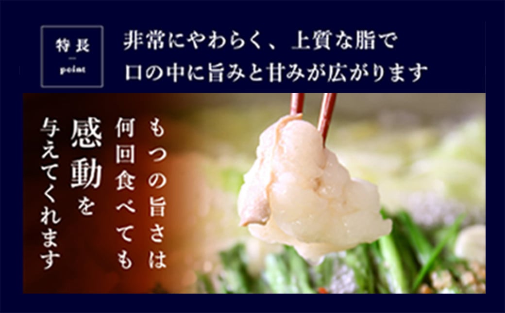 もつ鍋 セット 3〜4人前 塩とんこつ 【陽はまたのぼる】