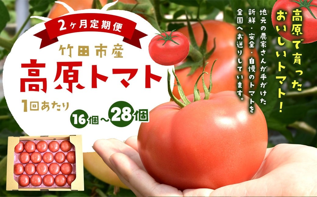 【2ヶ月定期便】 竹田市産 高原トマト 16個〜28個 【2026年5月下旬-2027年1月上旬発送予定】