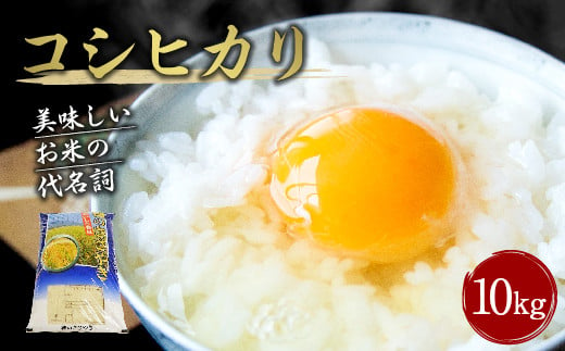 【令和6年産新米】大分県産 コシヒカリ 10kg 【2024年10月下旬発送開始予定】 