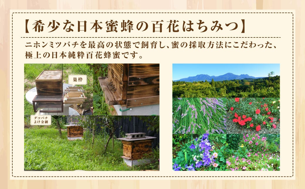 【国産はちみつ】 日本純粋百花蜂蜜 「森の蜜」 600g×2本 計1200g 化粧箱入り
