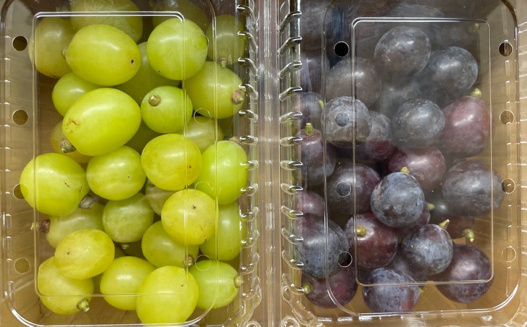 ãæ°ééå®ãç²ãã㯠蚳ãã ã·ã£ã€ã³ãã¹ã«ããïŒçŽ500gïŒ&ãã¬ãããŒãã«ïŒçŽ500gïŒ èšçŽ1kg ïŒå1ããã¯ïŒã2026幎8æäžæ¬-11æäžæ¬çºééå§äºå®ã