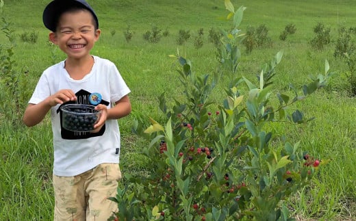 久住高原童心回帰農場の自然栽培 フローズン ブルーベリー 約1kg 冷凍【2026年7月下旬より発送開始】
