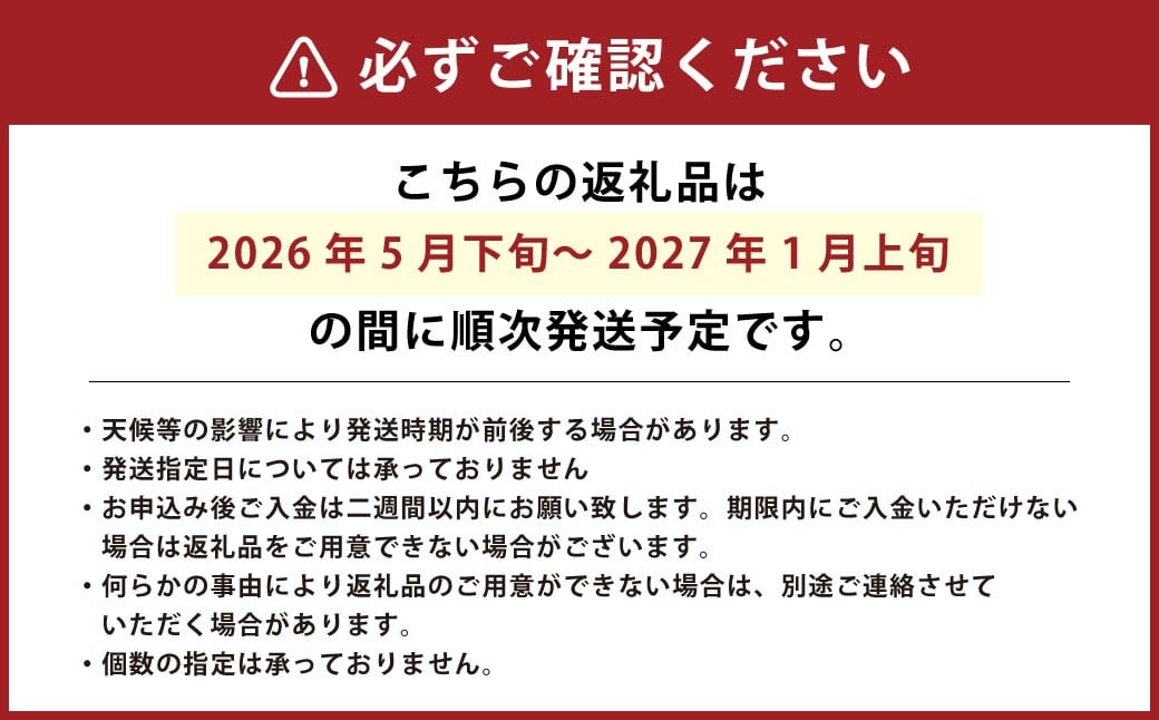 【竹田市産】高原トマト 16〜28個 【2026年5月下旬-2027年1月上旬発送予定】