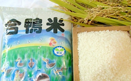 愛鴨米 玄米 10kg 米 コメ