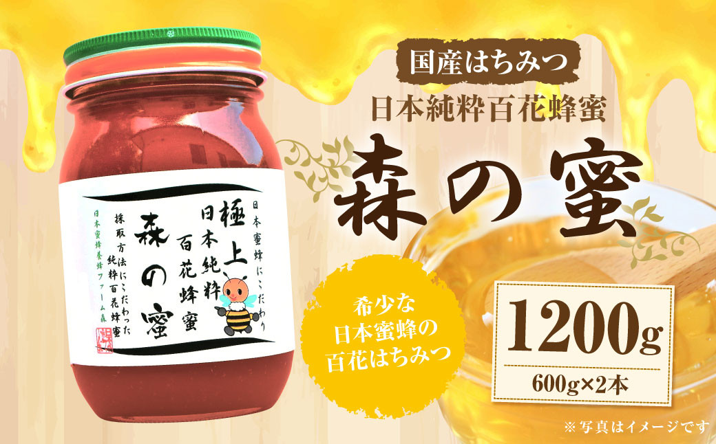 【国産はちみつ】 日本純粋百花蜂蜜 「森の蜜」 600g×2本 計1200g 化粧箱入り