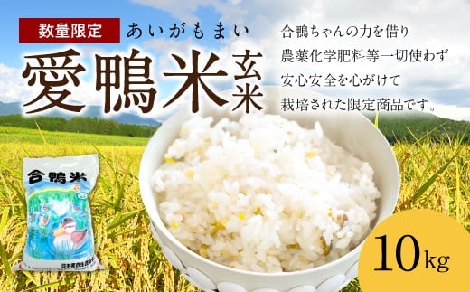 愛鴨米 玄米 10kg 米 コメ
