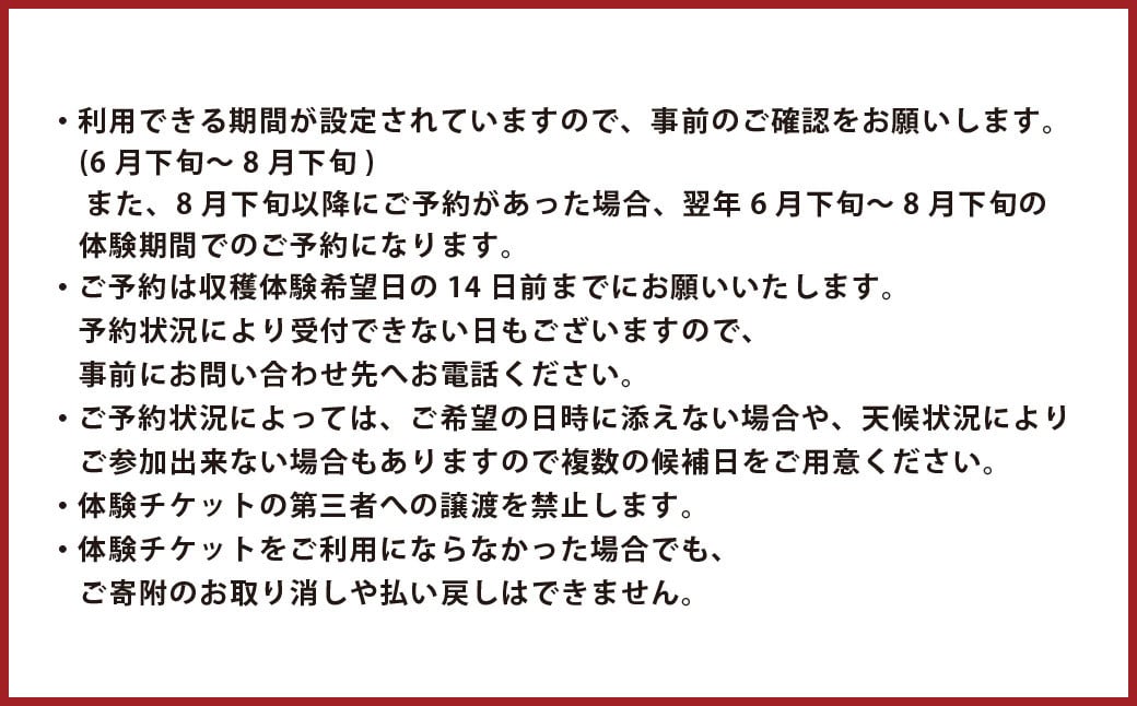 【1組5名まで】 〜自然豊かな久住高原で育ったブルーベリーの収穫体験〜 収穫ブルーベリーのお土産付き！ 【体験期間：毎年6月下旬〜8月下旬】