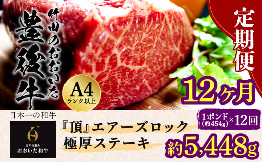 【定期便12回】日本一の和牛 おおいた豊後牛 1ポンド エアーズロック 極厚ステーキ  約454g×12回 計12ポンド （約5448g）