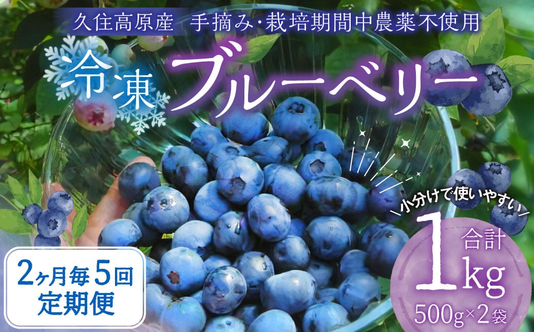 【2ヶ月毎5回 定期便】久住高原 手摘みブルーベリー 冷凍 500g 2袋 計5kg 小分け 栽培期間中農薬不使用