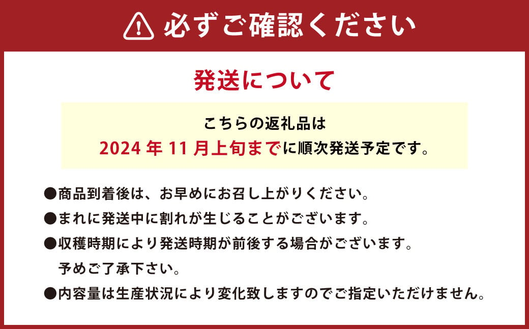 音楽を聴いて育ったプチぷよ🍅一粒万倍 黒／赤BOX【30粒or42粒】【2024年11月上旬まで発送予定】