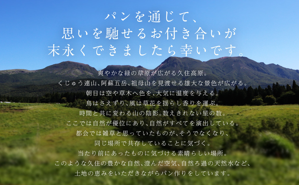 【引き算】 まいにちたべたくなる食パンセット 3本 