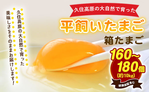 久住高原 平飼いたまご 箱たまご 10kg 160~180個入 ※破損保証5個含む