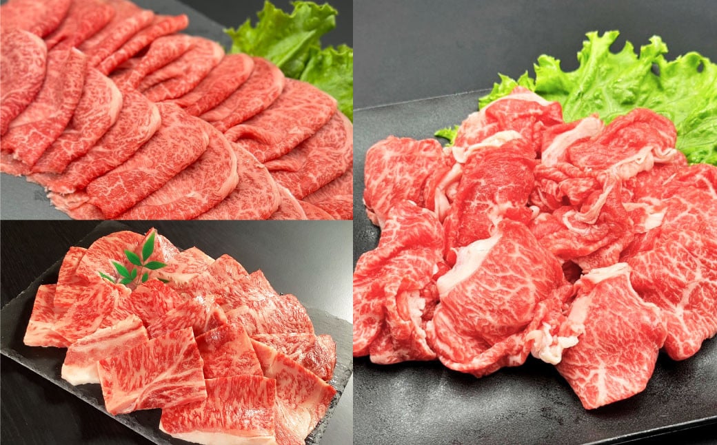 【12ヶ月定期便】毎月替わるおおいた和牛セット！12ヶ月おおいた和牛月替わり 計約4.8kg