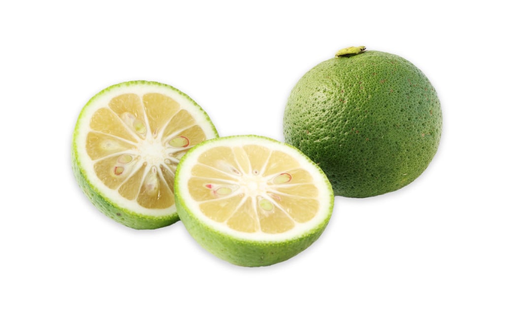 ãå
è¡äºçŽã ææ©JASèªèšŒ ããŒãéæ çŽ4kgïŒç®±å
¥ãïŒ ã2026幎8æäžæ¬ãã11æäžæ¬çºéäºå®ã