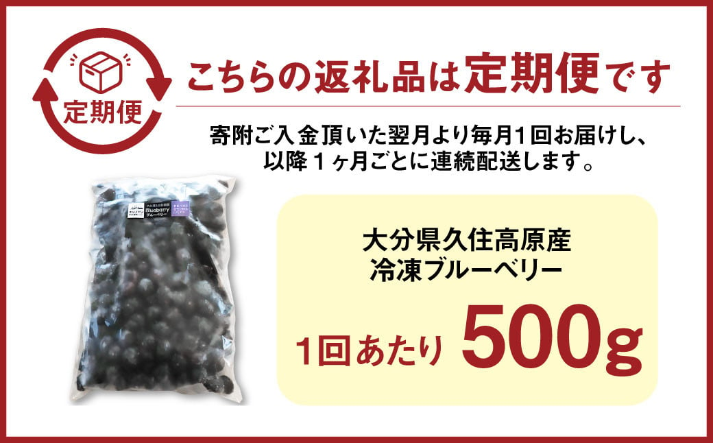 【6回 定期便】久住高原 冷凍 ブルーベリー 500g 計3kg 栽培期間中農薬不使用 手摘み