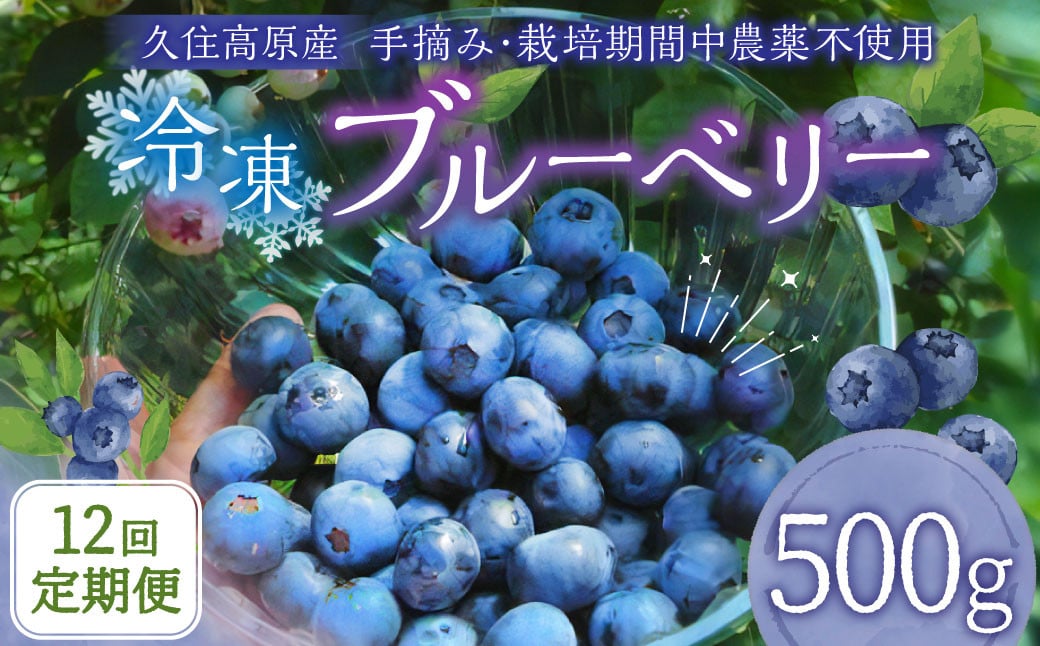 【12回 定期便】久住高原 冷凍 ブルーベリー 500g 計6kg 栽培期間中農薬不使用 手摘み