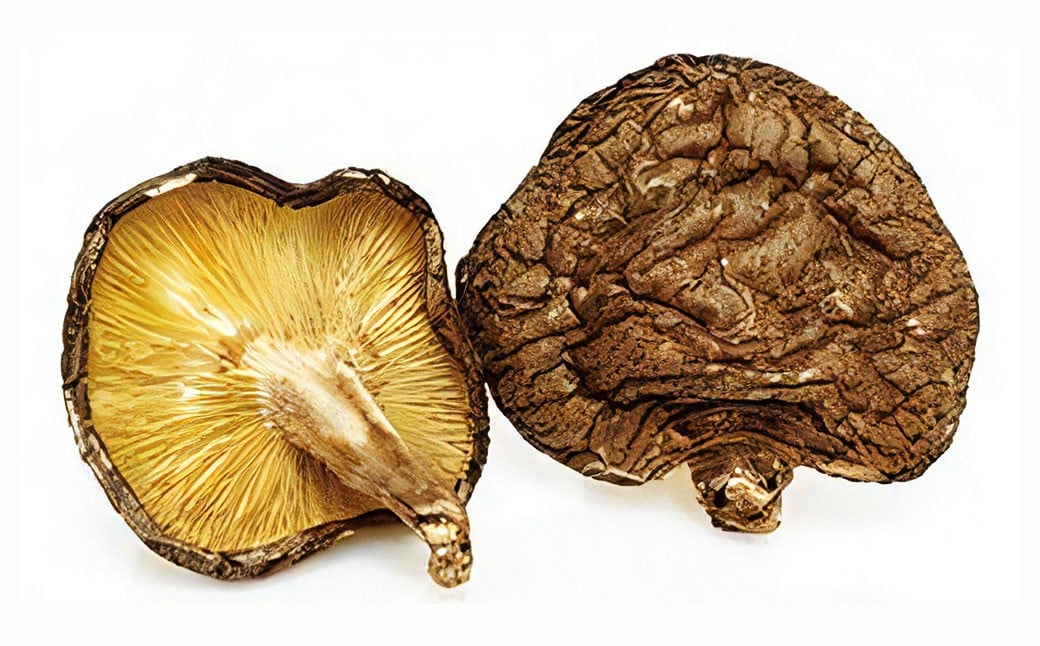 FOK28 大分県産原木栽培乾しいたけ 大葉香信 約560g（約80g×7袋） 