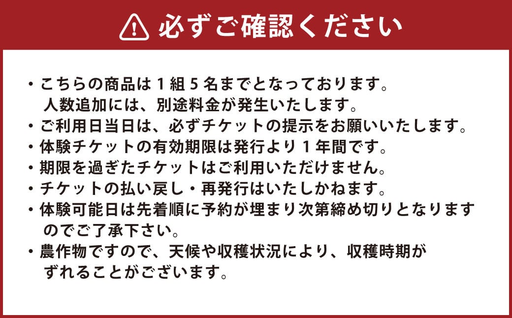 【1組5名】かわいいミニトマト収穫体験～【体験期間：9月下旬～10月下旬】