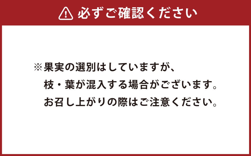 【2ヶ月毎5回定期便】大分県久住高原産 『手摘みブルーベリー』 冷凍ブルーベリー 1kg 計5kg