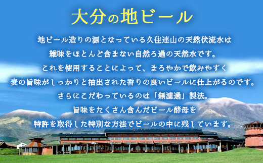 大分エール 6本 セット 地ビール クラフトビール 330ml×6本