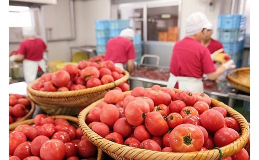 トマトジュース 3本セット 500ml×3本 完熟トマト100% 大分県 竹田市
