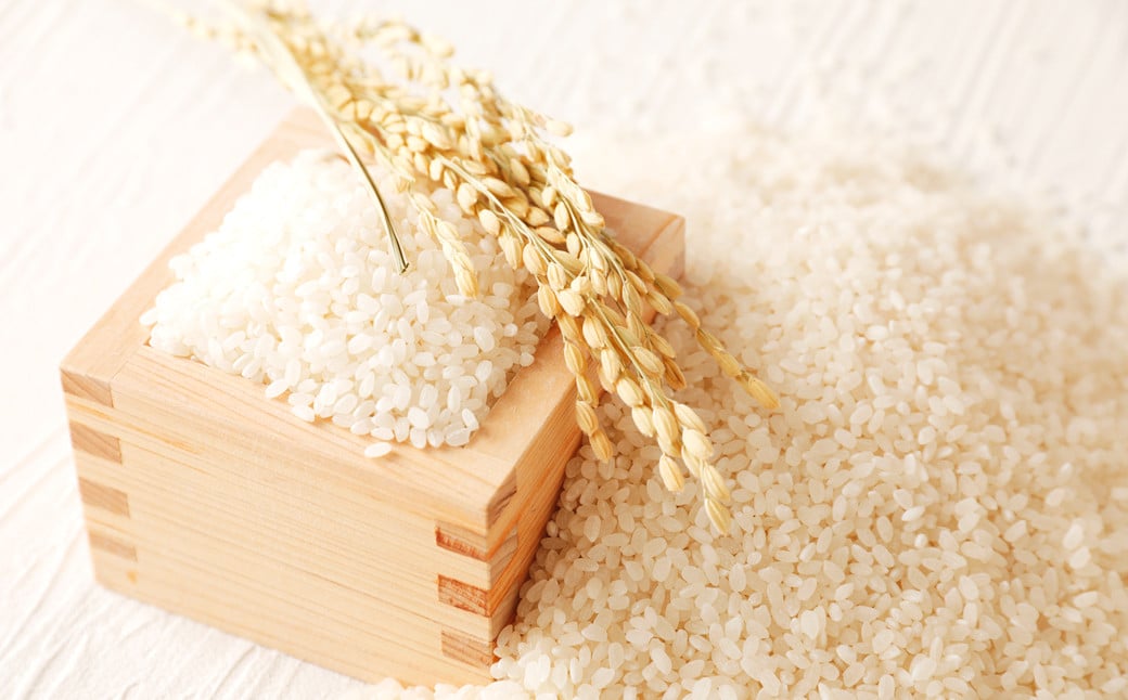 令和7年産 竹田銘水美人色選米 10kg 【白丹産：特別栽培米ヒノヒカリ】5kg×2袋