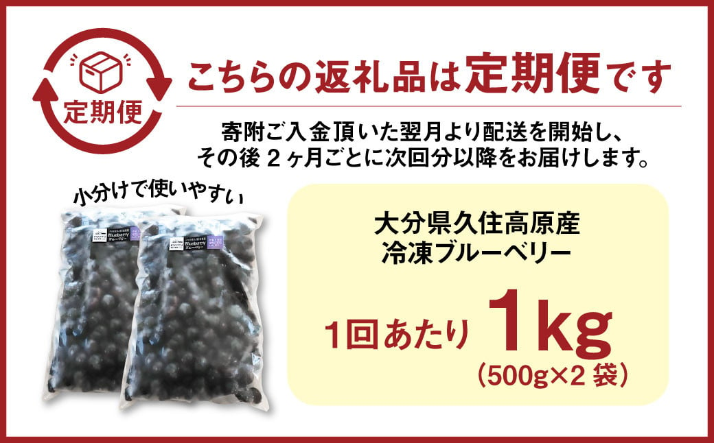 【2ヶ月毎6回 定期便】久住高原 手摘みブルーベリー 冷凍 500g 2袋 計6kg 小分け 栽培期間中農薬不使用