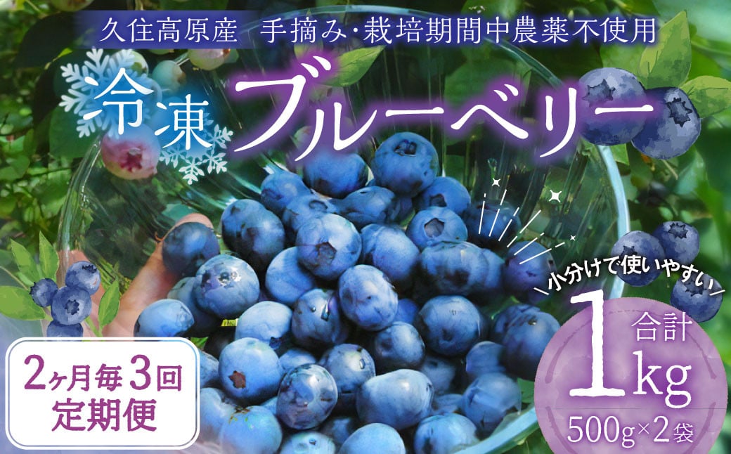 【2ヶ月毎3回 定期便】久住高原 手摘みブルーベリー 冷凍 500g 2袋 計3kg 小分け 栽培期間中農薬不使用