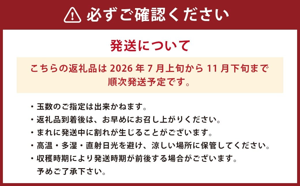 まごころ ミニトマト の宝石箱 1.7kg（約80～110玉）サンチェリーピュア トマト【2026年7月上旬から11月下旬まで発送予定】