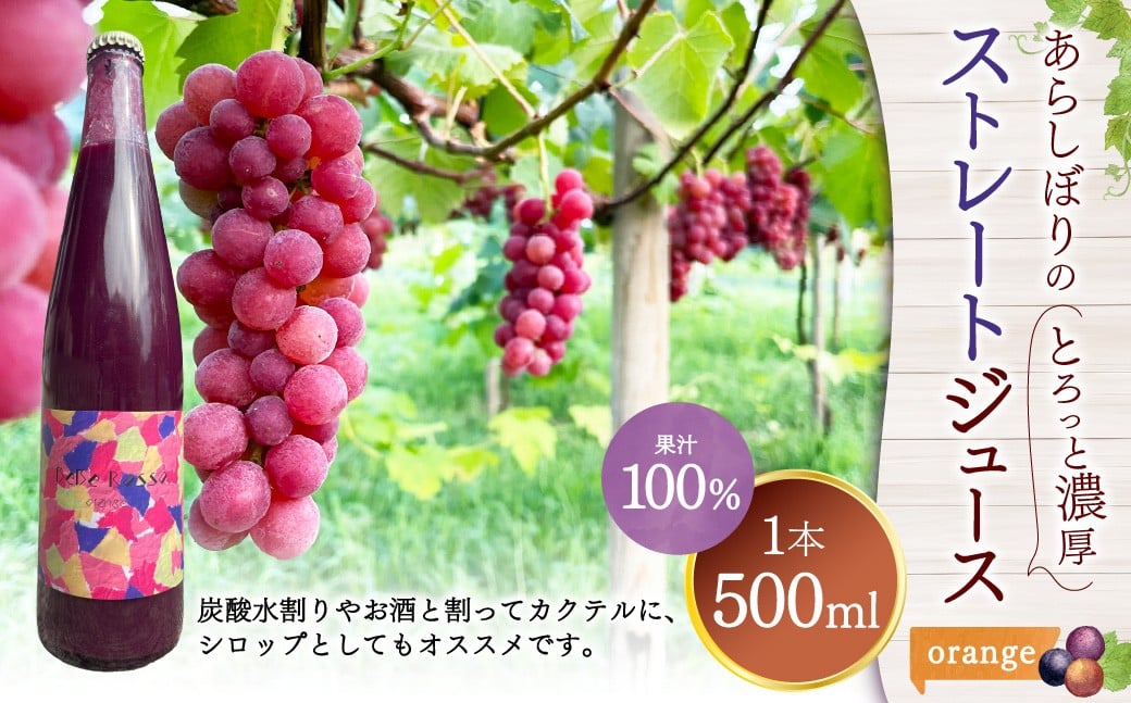《orange》あらしぼりのとろっと濃厚、ストレートジュース 果汁100% 1本（500ml）