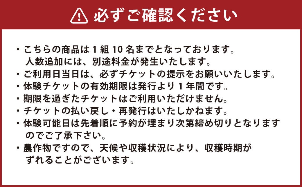 【1組10名】かわいいミニトマト収穫体験～【体験期間：9月下旬～10月下旬】