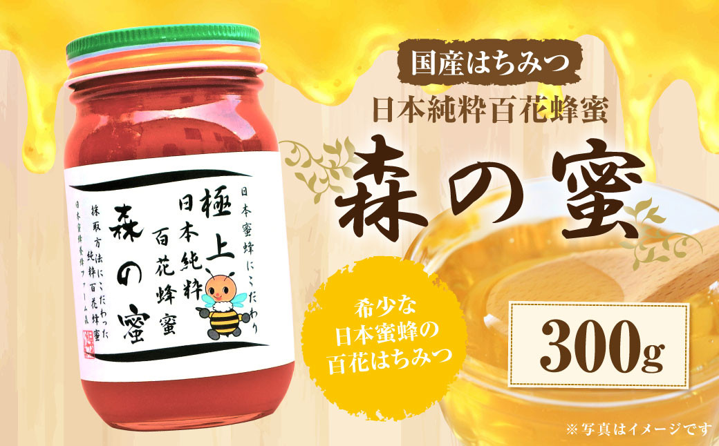 【国産はちみつ】 日本純粋百花蜂蜜「森の蜜」 300g×1本 化粧箱入り