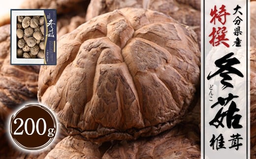 大分県産 特選どんこ 200g （乾しいたけ）FT20