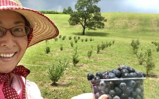 久住高原童心回帰農場の自然栽培 フローズン ブルーベリー 約1kg 冷凍【2026年7月下旬より発送開始】