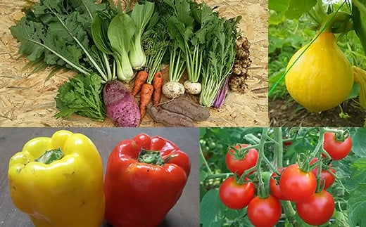 栽培期間中農薬不使用・有機肥料で育てた 季節の野菜セット 約4〜8kg