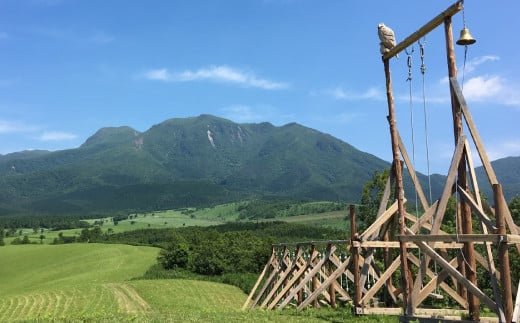 久住高原童心回帰農場の自然栽培 フローズン ブルーベリー 約1kg 冷凍【2026年7月下旬より発送開始】