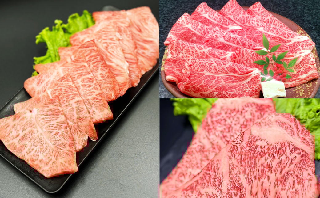 【12ヶ月定期便】毎月替わるおおいた和牛セット！12ヶ月おおいた和牛月替わり 計約4.8kg