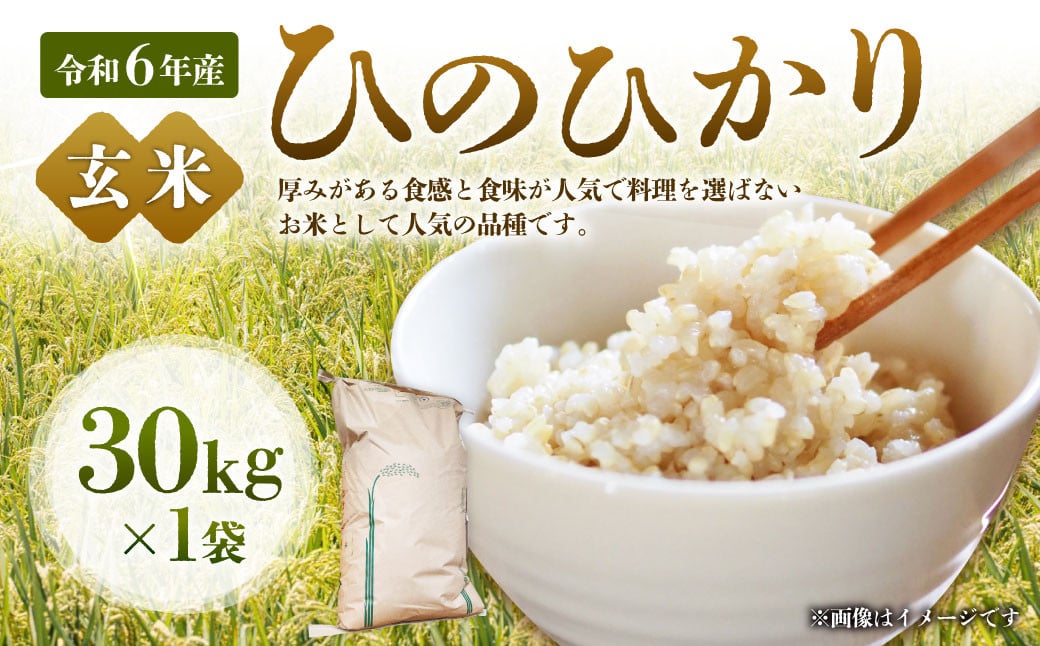 【令和6年産】大分県産(竹田市産) ひのひかり 玄米 30kg 【2025年1月上旬より順次発送予定】 