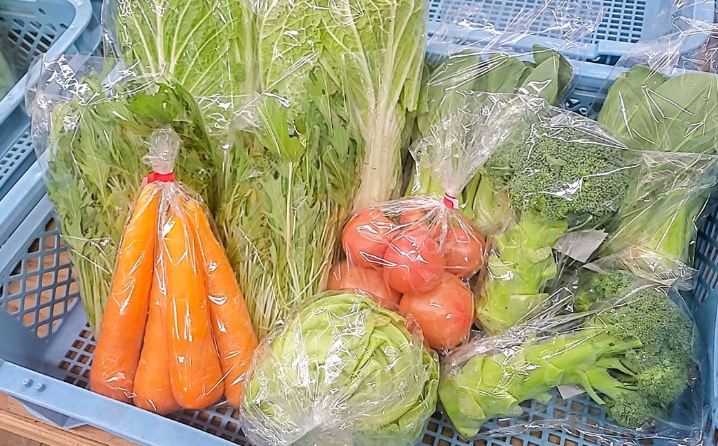 その時期の一番美味しいをお届け！ 竹田育ちの 「野菜詰め合わせセット」 A
