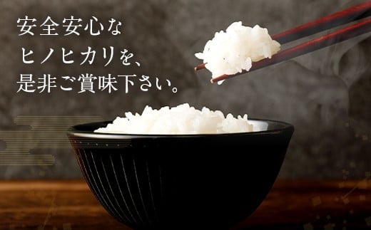 【6ヶ月定期】竹田産名水育ち ひのひかり 5kg×6ヶ月 計30kg 3年連続特A受賞