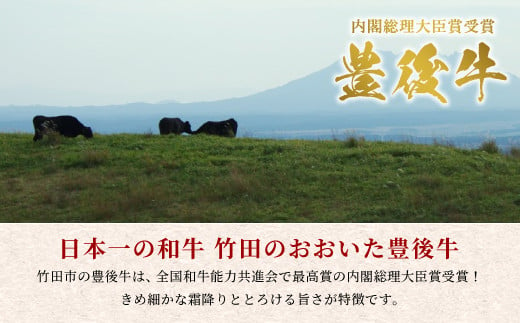 日本一の和牛 おおいた豊後牛 ＜モモステーキ 400g＞
