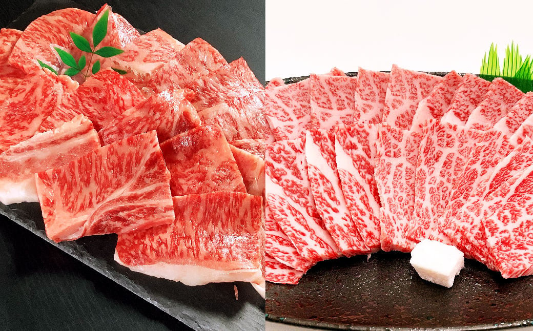 【5ヶ月定期便】毎月届く焼肉セット！おおいた和牛焼肉セット 計約4.2kg