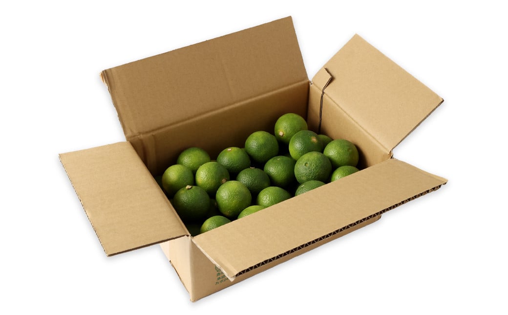 【先行予約】 有機JAS認証 かぼす青果 約2kg（箱入り） 【2026年8月下旬から11月下旬発送予定】