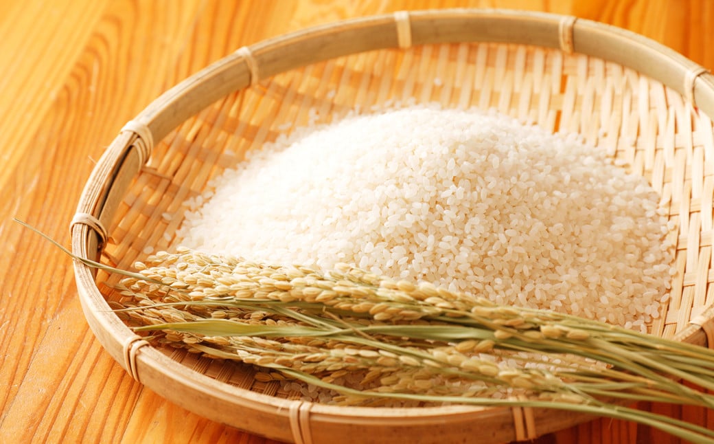 令和7年産 竹田銘水美人色選米 10kg 【白丹産：特別栽培米ヒノヒカリ】5kg×2袋