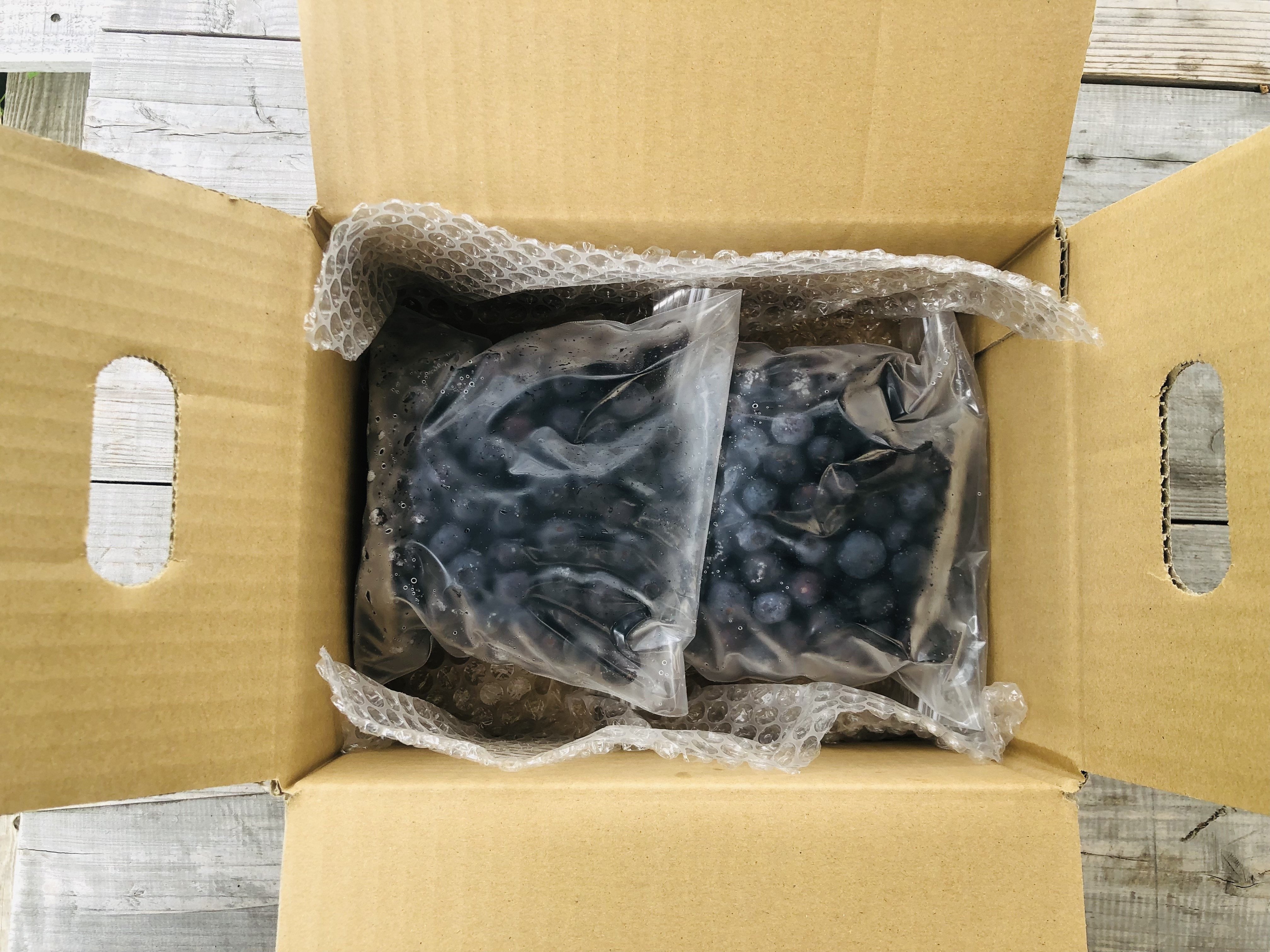 久住高原童心回帰農場の自然栽培 フローズン ブルーベリー 約1kg 冷凍【2026年7月下旬より発送開始】